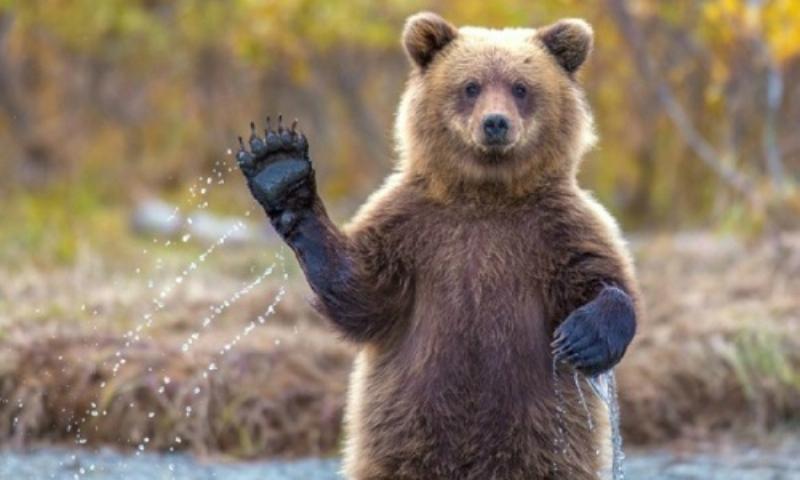 Hinh anh mot nhom nguoi voi bong bong thoai the hien cac cach noi tam biet pho bien nhu bye, see you, take care, have a good day.